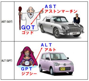 健康診断でお馴染みのGOT とGPTがASTとALTに変わった？ | 絵とゴロで楽しく覚えるクスリの名前