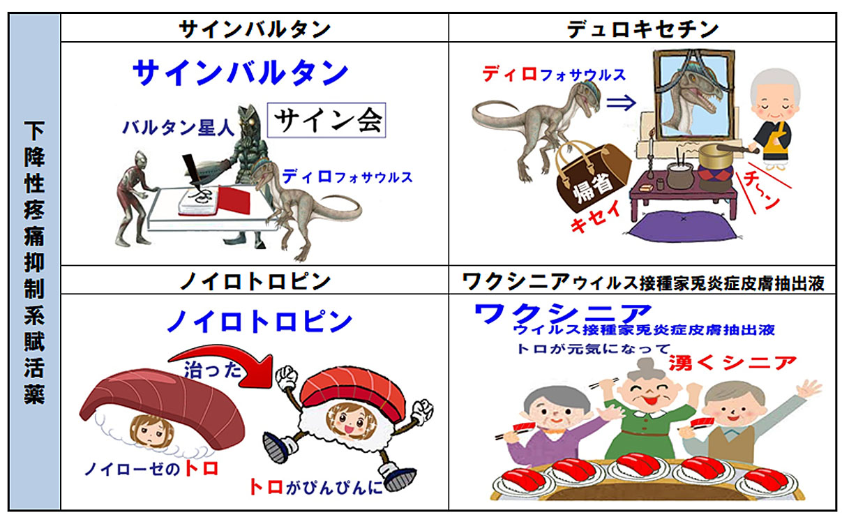 よく使うアセトアミノフェンの作用機序って解明されてないってホント 絵とゴロで楽しく覚えるクスリの名前