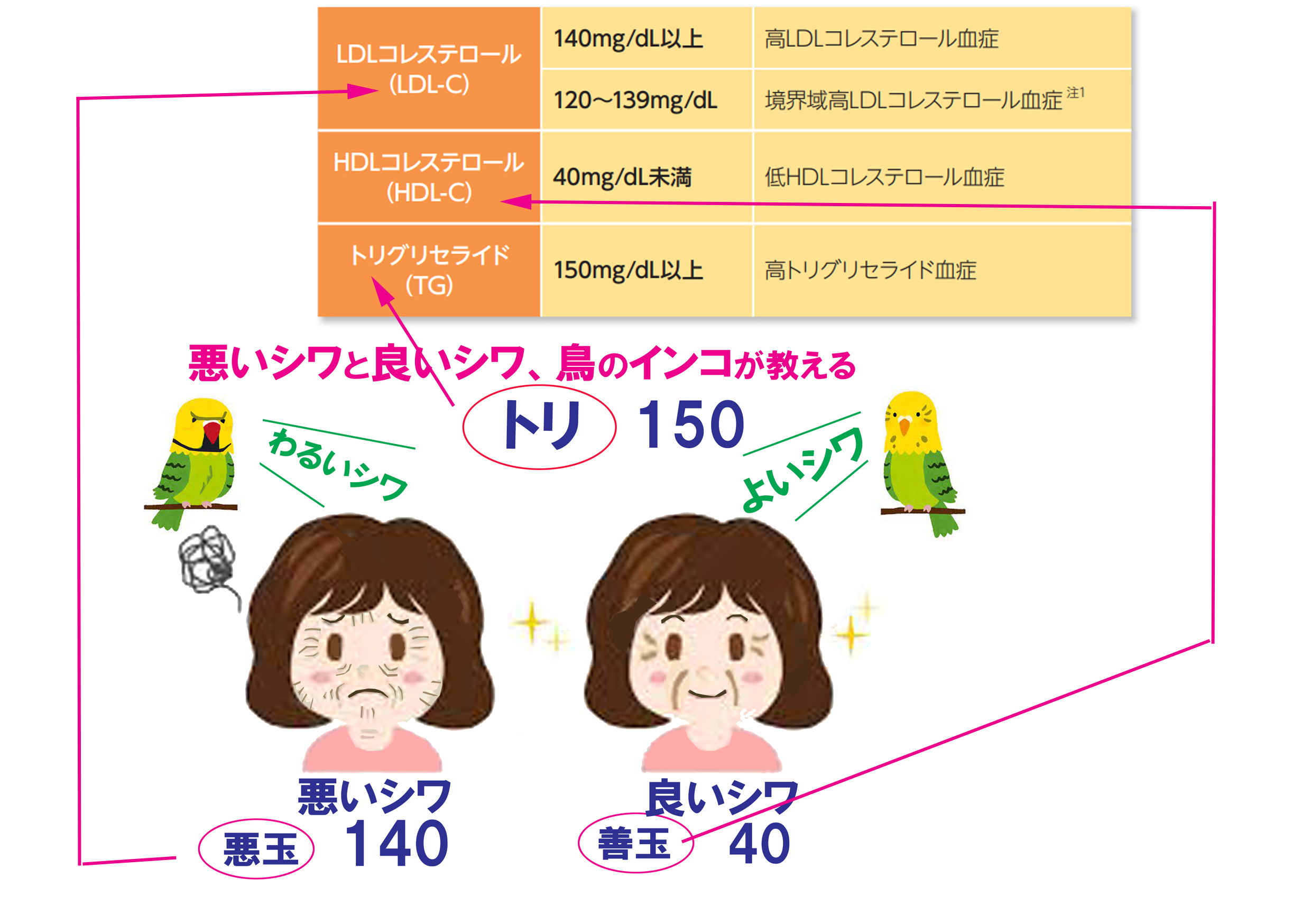 今さら聞けない脂質異常症の診断基準 ここを押さえればもう大丈夫 絵とゴロで楽しく覚えるクスリの名前